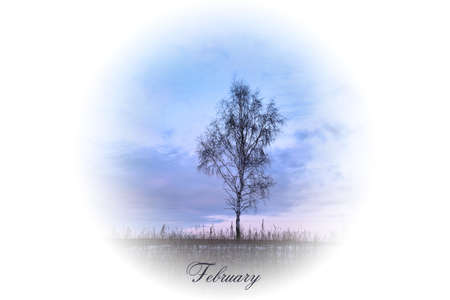 Stylized picture with season tree in white circle for calendar month. Winter February. Raster illustrationの写真素材