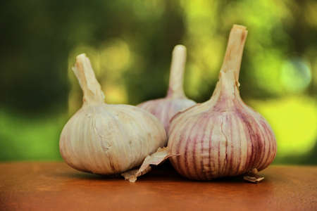 Three cloves of garlic on table. Shallow depth of field. Focus on right garlicの写真素材