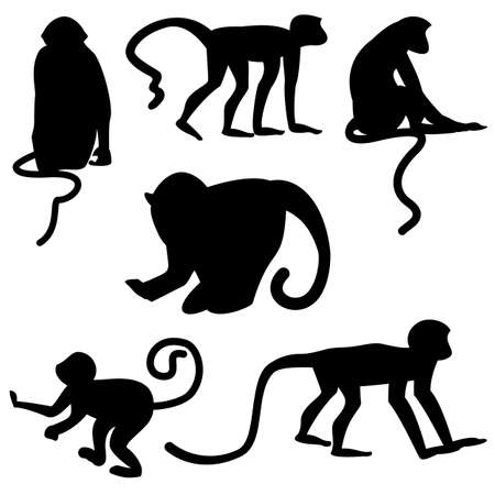 Black silhouettes of monkeys in six variations on white background. Vector illustrationのイラスト素材