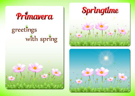 Three spring templates with beginning of spring concept. Pink spring flowers on meadow in three versions for banners, cutaways, visit cards. Spring card. Spring background. Spring vector illustrationのイラスト素材