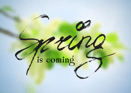 Welcoming card with black hand written lettering Spring Is Coming on natural floral blurry...