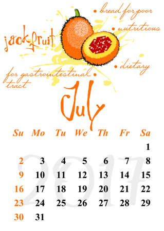 Calendar design grid with useful properties of fruits and dates of summer month July 2017. Jackfruit. Vector illustrationのイラスト素材
