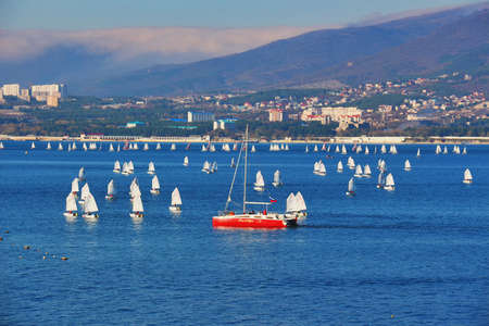 Sailing sport in sea resort town of Gelendzhik in sunny day on Black sea coast, November 6, 2015, city-resort Gelendzhik, Russiaのeditorial素材