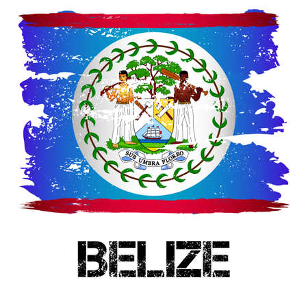 Flag of Belize from brush strokes in grunge style isolated on white background. Country in Central America. Vector illustrationのイラスト素材