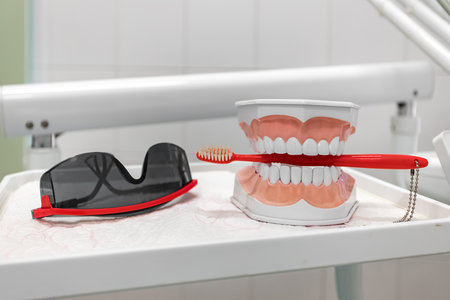 Dental jaw model with toothbrush and dental glasses in dental clinic