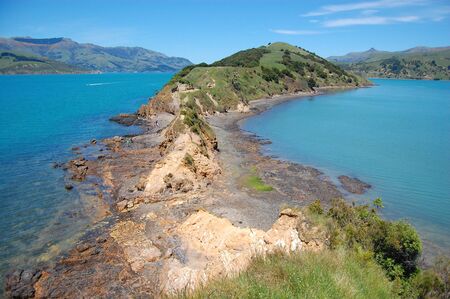 Onawe peninsula near Akaroa, Banks Peninsula, New Zealandの写真素材