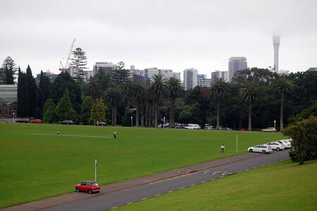 Auckland Domain park, New Zealandのeditorial素材