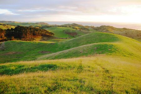 Green hills rural area, Dargaville, New Zealandの写真素材