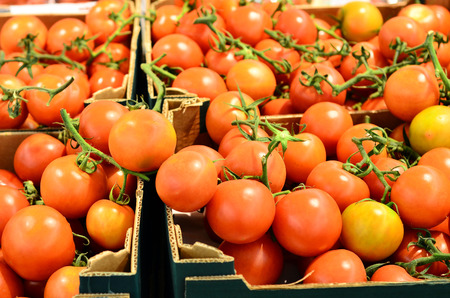 An image of fresh tomatoes in boxes ready for saleの写真素材