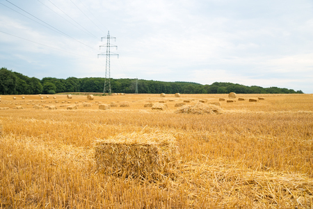 Landscape image of freshly stacked bales of hay with electricity power pylons running through the frame and a distant tractor working in the backgroundの写真素材