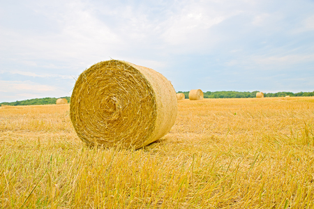 Landscape image of bales of hay in a recently cropped field of wheatの写真素材