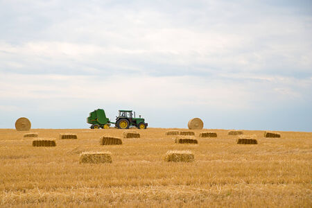 Image of a working tractor baling hay in a freshly cut field of wheatの写真素材