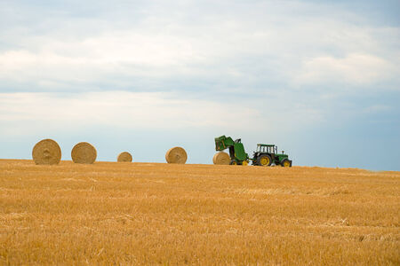 Image of a working tractor baling hay in a freshly cut field of wheatの写真素材