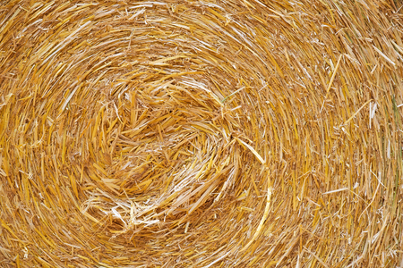 Close up image of a hay bale which can be used for textureの写真素材