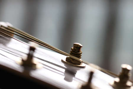 Detail of the fretboard of an electric guitar with shallow depth of field