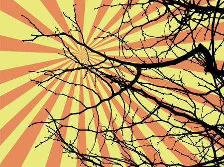 branch solhouette with abstract sun rays backgroundのイラスト素材