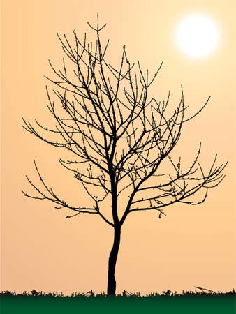 peaceful scene of tree in sunsetのイラスト素材