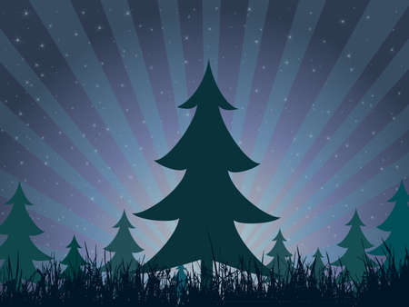 Pine forest in nightのイラスト素材