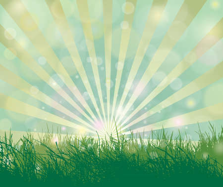 Grass, sky and sun rays のイラスト素材