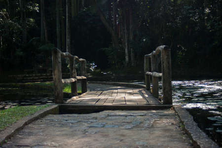 Bridge over a lakeの素材