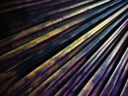 Texture background lines image in a multicolored composition.の写真素材