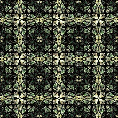 Middle Age Background Pattern in green and black white tones の写真素材