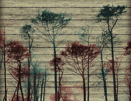 Digital collage made it with pictures of big tall trees and wood texture in pale yellow, blue anr...