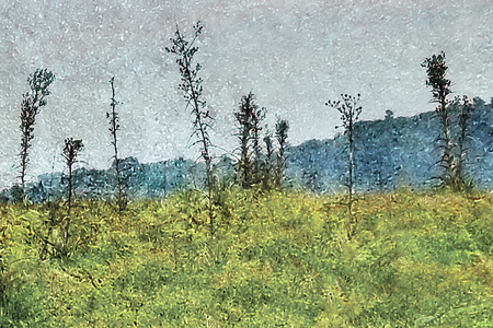 Digital photo collage gungre style manipulation artwork of a natural landscape scene with tall plants, grass, mountains and a sky in the background.の写真素材