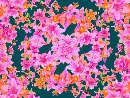 Digital technique mulitcolored beautiful composition floral pattern background in blue, magenta and orange colors.の写真素材