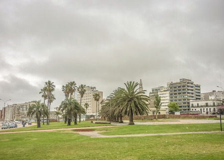 Beautiful park with palm tress in a gray day at the coast in the city of Montevideo, the capital of Uruguay.のeditorial素材