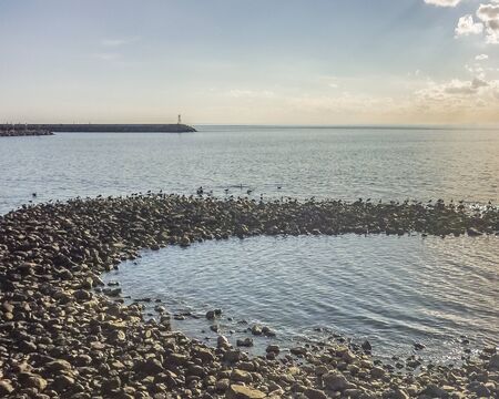 Nature landscape with birds on the rocks in the coast of Punta Colorada in Maldonado city in Uruguay in South Americaの写真素材