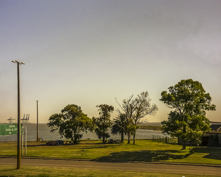 Aerial view of the coast and big trees in the city of Montevideo, the capital of Uruguay.