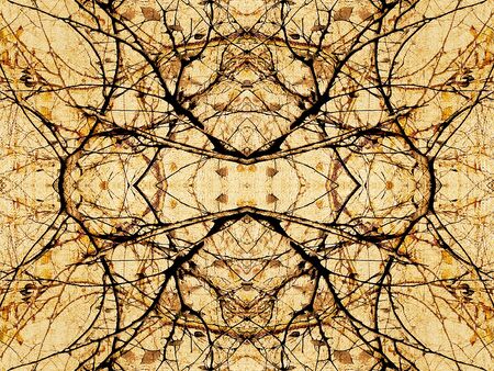 Digital collage style technique decorative ornate floral motif modern pattern in pale oragen tones and black colors.の写真素材