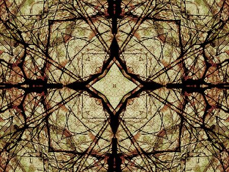 Digital collage style technique decorative ornate floral geometric motif modern pattern in pale oragen tones and black colors.の写真素材