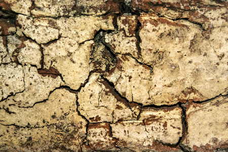 Grunge cracked brick wall texture in warm colors and wide screen format