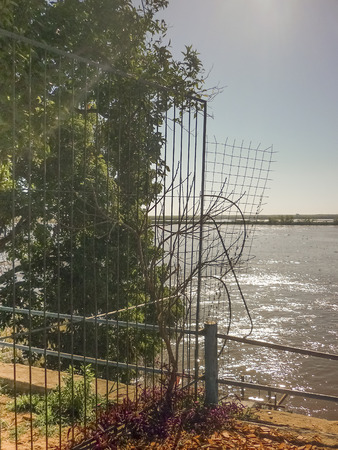 Detail view of grid in front of parana river in Rosario city, Argentinaの写真素材