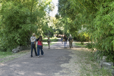 MONTEVIDEO, URUGUAY - MARCH 2014 - Peaceful and lovely scene of group of people walking in a sunny day at the botanical garden located in Montevideo, Uruguay.の写真素材