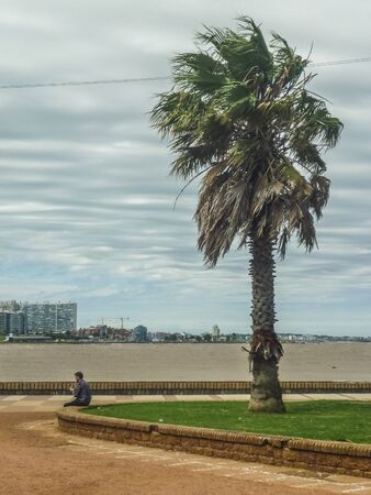 MONTEVIDEO , URUGUAY - NOVEMEBER 2014 - Man enjoying a windy day in the boardwalk of Montevieo , the capital city of Uruguay in South Americaのeditorial素材