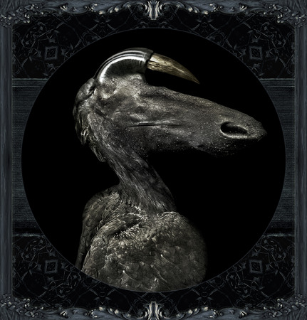 Digital art photo collage technique framed portrait dark fantasy monster raster illustration isolated in black background.の写真素材