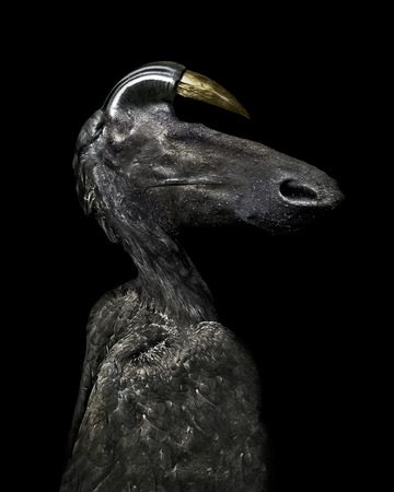 Digital art photo collage technique dark fantasy monster raster illustration isolated in black background.の写真素材