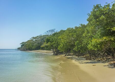 Beautiful sunny day at paradise tropical island in Cartagena, the most famouse watering place of Colombia.の写真素材