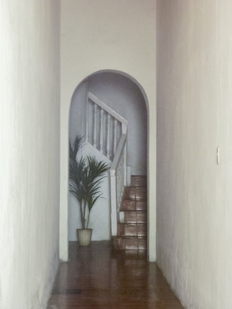 Minimalistic style white corridor with stairs and a plant at the background.の写真素材