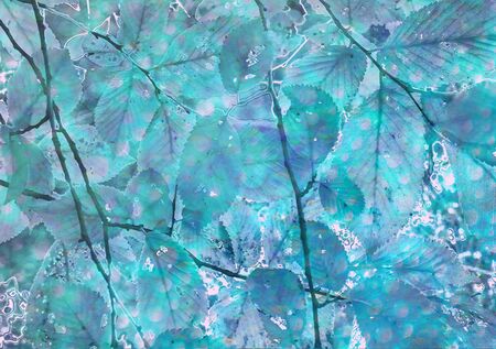 Photo manipulation and collage digital technique leaves and branches motif nature print background in turquoise colors.の写真素材
