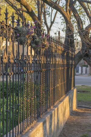Perspective view of iron fence with ornaments and flower at park in Montevideo, the capital of Uruguay.の写真素材