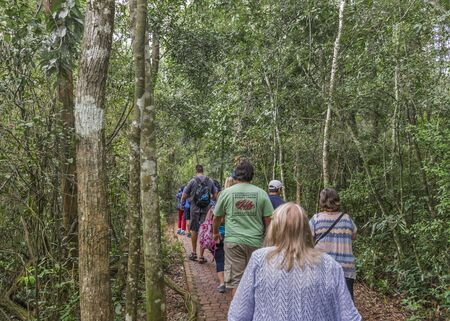 PORT IGUAZU, ARGENTINA, MARCH - 2015 - People walking trough wild nature trail at Iguazu park at the famous touristic landmark Iguazu Falls.のeditorial素材