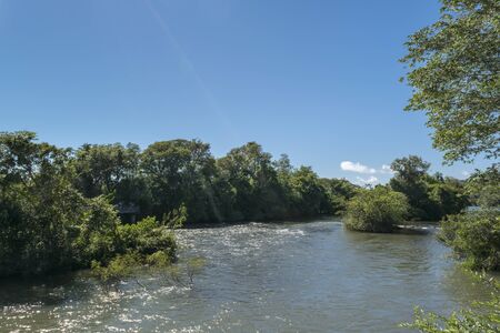 Flora and parana river landscape view at argentinian border of Iguazu Park.の写真素材