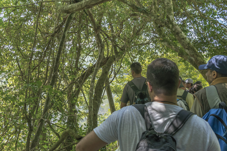 PORT IGUAZU, ARGENTINA, MARCH - 2015 - People walking trough wild nature trail at Iguazu park at the famous touristic landmark Iguazu Falls.のeditorial素材