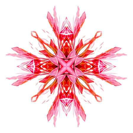 Digital technique modern star shape ornament in red tones against white backgroundの写真素材