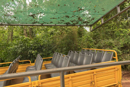 Trip to Jungle at Iguazu Parkの写真素材