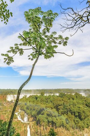 Spectacular aerial view from the waterfalls at Iguazu Park in brazilian border.の写真素材